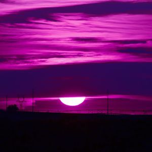 Meet your Posher, Gena